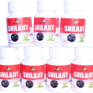 shilajit capsules premium vitality ayurvedic treatment for men original imagwsyfp9gxqgfb.jpeg